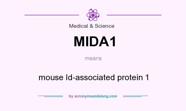 What does MIDA1 mean? It stands for mouse Id-associated protein 1