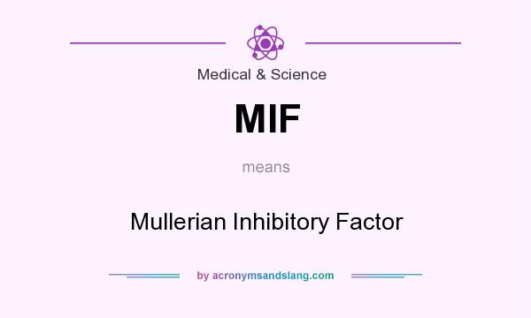 What does MIF mean? It stands for Mullerian Inhibitory Factor