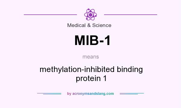 What does MIB-1 mean? It stands for methylation-inhibited binding protein 1