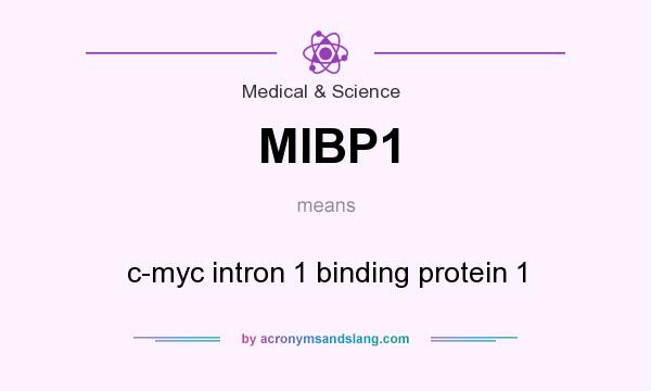 What does MIBP1 mean? It stands for c-myc intron 1 binding protein 1