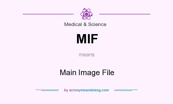 What does MIF mean? It stands for Main Image File