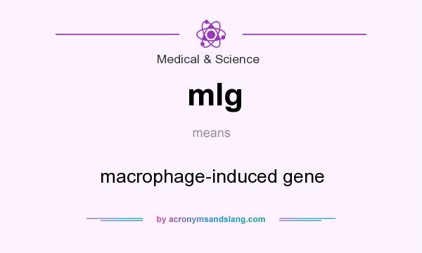 What does mIg mean? It stands for macrophage-induced gene