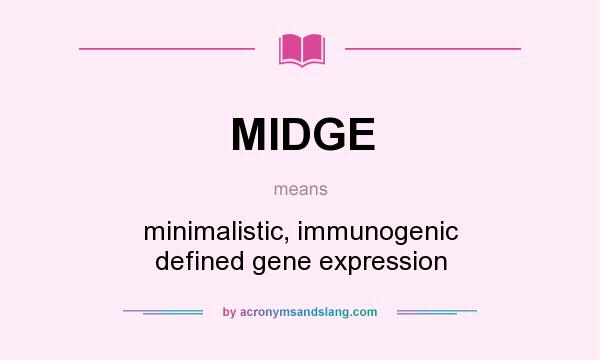 What does MIDGE mean? It stands for minimalistic, immunogenic defined gene expression