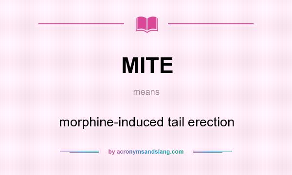 What does MITE mean? It stands for morphine-induced tail erection