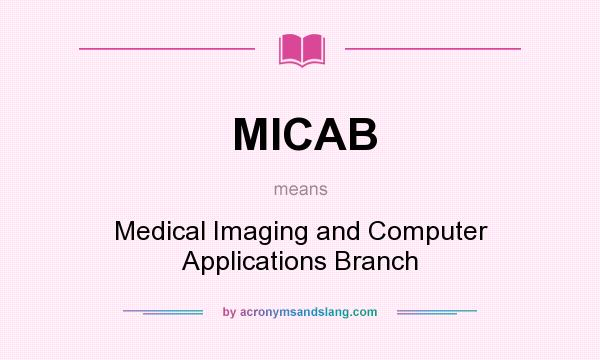 What does MICAB mean? It stands for Medical Imaging and Computer Applications Branch