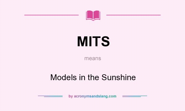 What does MITS mean? It stands for Models in the Sunshine