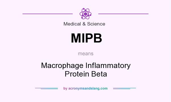 What does MIPB mean? It stands for Macrophage Inflammatory Protein Beta