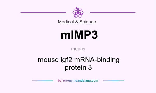 What does mIMP3 mean? It stands for mouse igf2 mRNA-binding protein 3