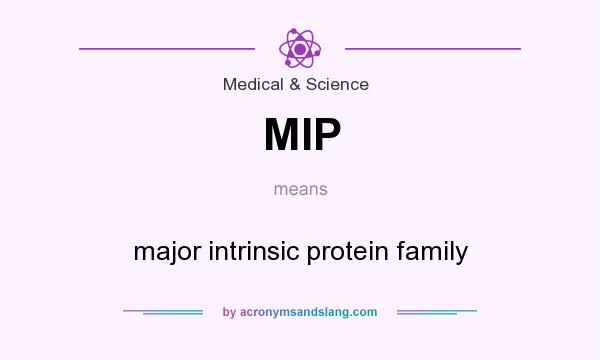 What does MIP mean? It stands for major intrinsic protein family