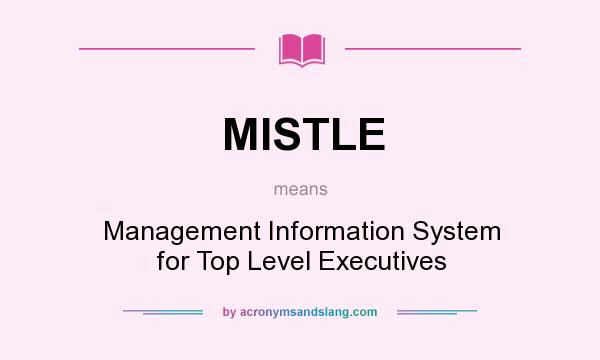 What does MISTLE mean? It stands for Management Information System for Top Level Executives