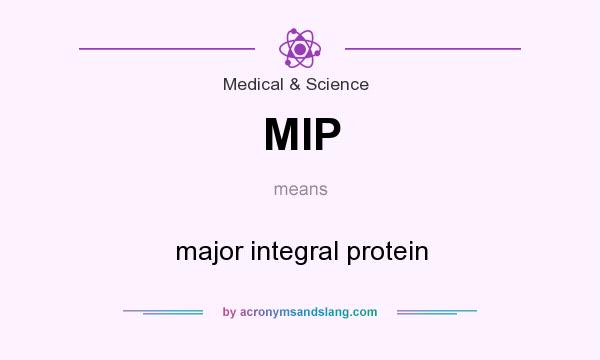 What does MIP mean? It stands for major integral protein