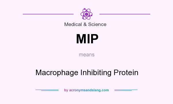 What does MIP mean? It stands for Macrophage Inhibiting Protein
