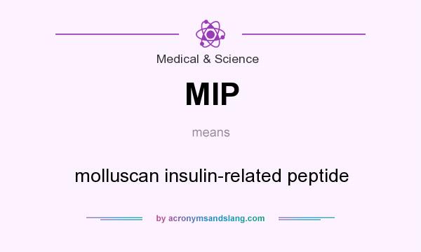 What does MIP mean? It stands for molluscan insulin-related peptide