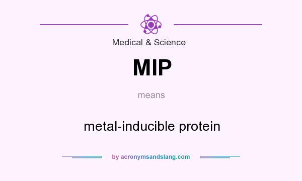 What does MIP mean? It stands for metal-inducible protein