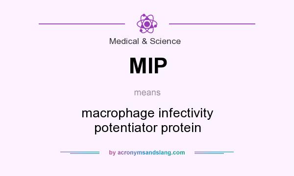What does MIP mean? It stands for macrophage infectivity potentiator protein