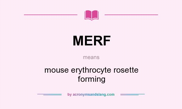 What does MERF mean? It stands for mouse erythrocyte rosette forming