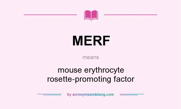 What does MERF mean? It stands for mouse erythrocyte rosette-promoting factor