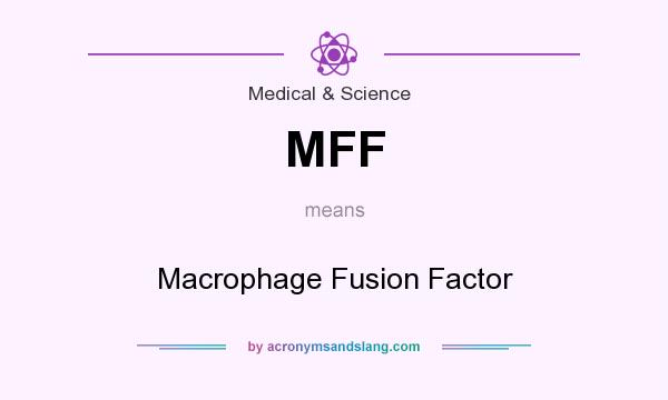 What does MFF mean? It stands for Macrophage Fusion Factor